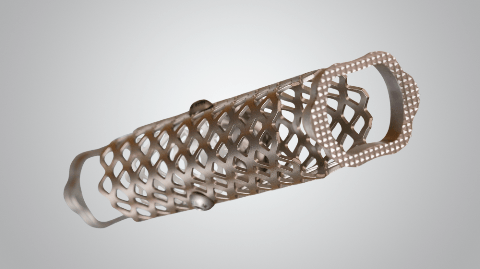 Vertebral Body Replacement expandable cage implant